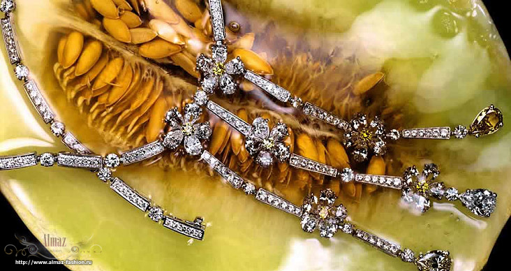   Bulgari
