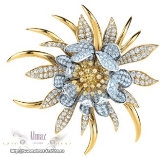    Ashli Jewelers